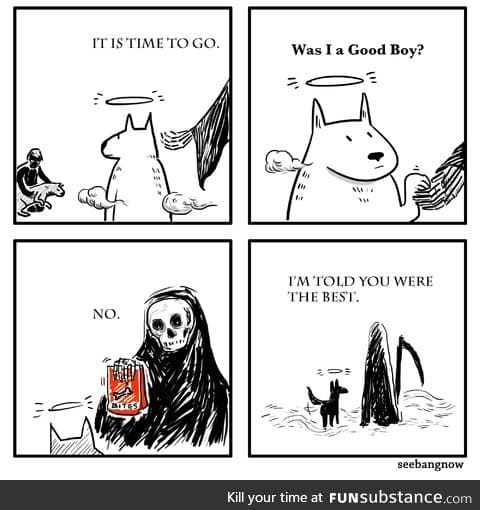 Good boy is best boy