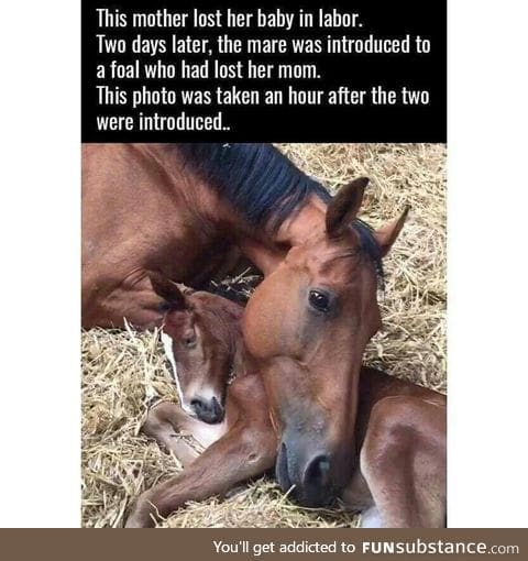 Facebook tier content