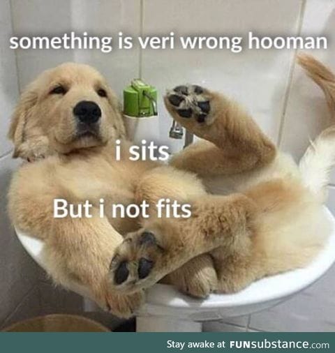 Big ol' doggo doin a h*ckin struggle
