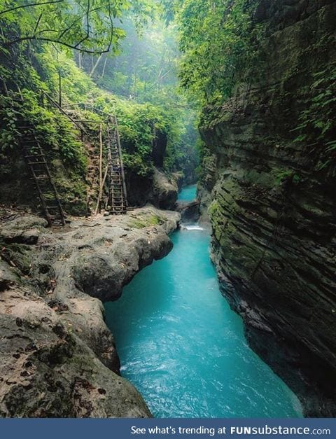 Stunning hidden Oasis