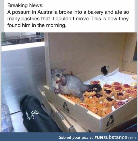 Good job, little friend