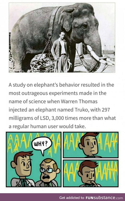 Why? Thats irrelephant