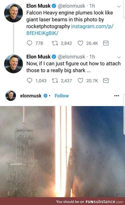 The names musk, elon musk