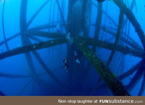 Scuba diving near oil rig legs