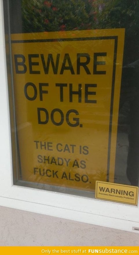 Beware of the cat also