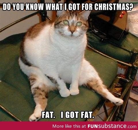 Story of my christmases
