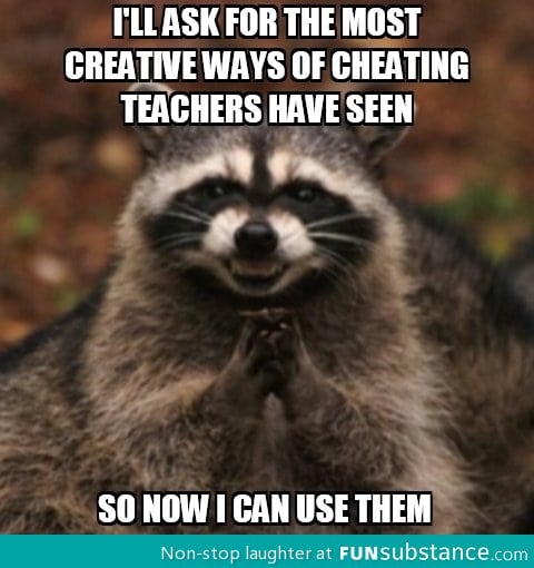 Evil raccoon is at it again