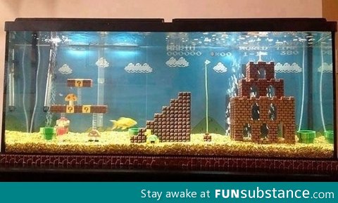 Best fish tank ever
