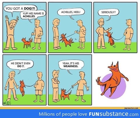 Dog named Achilles