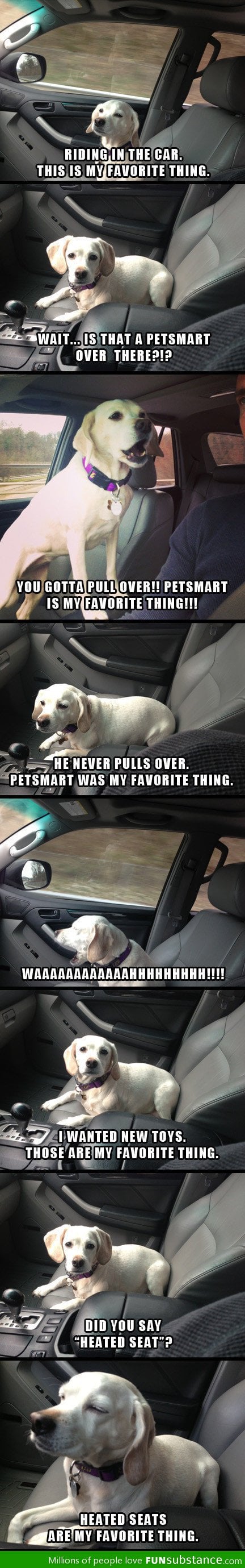 Best co-pilot ever