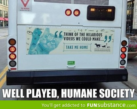 Best advertising ever