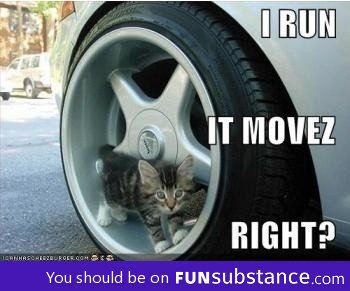 Kitty powered car