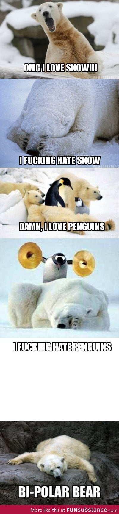 Bi-Polar Bear