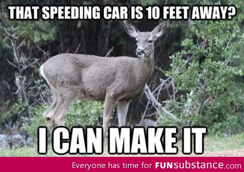 Deer and their logic