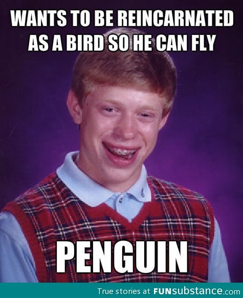 Bad luck brian bird