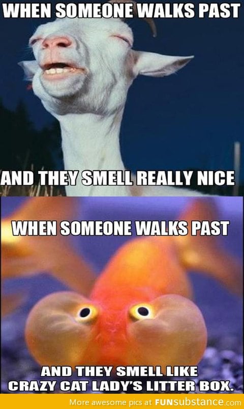 The smell when someone walks past