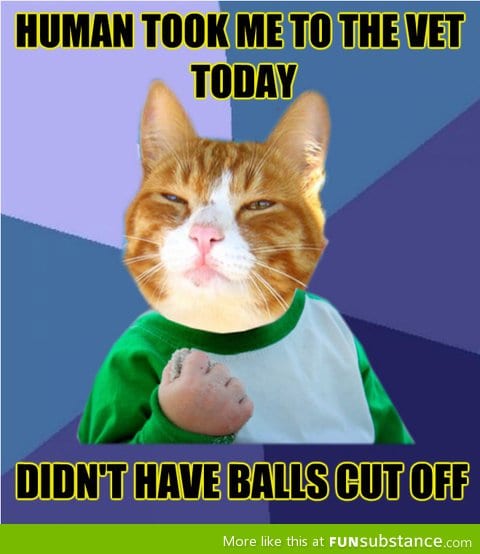 Gonna party my 9 lives off