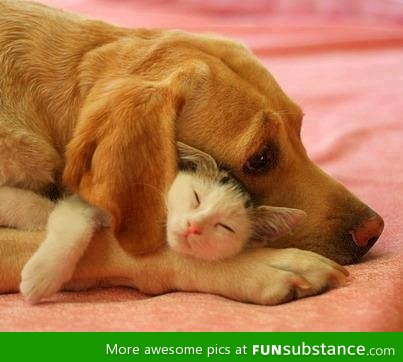 Mutual pillows