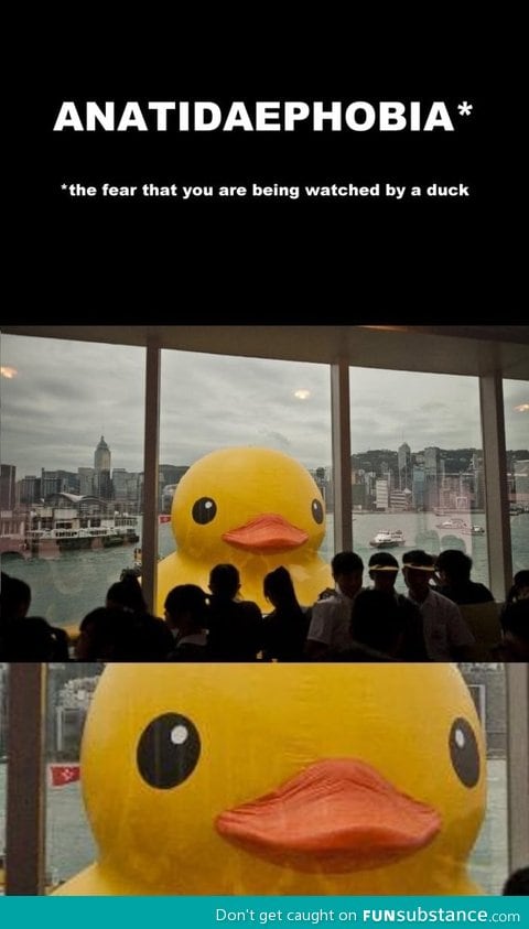 Anatidaephobia