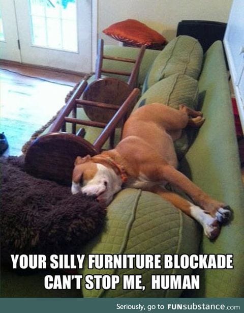 Determined napper