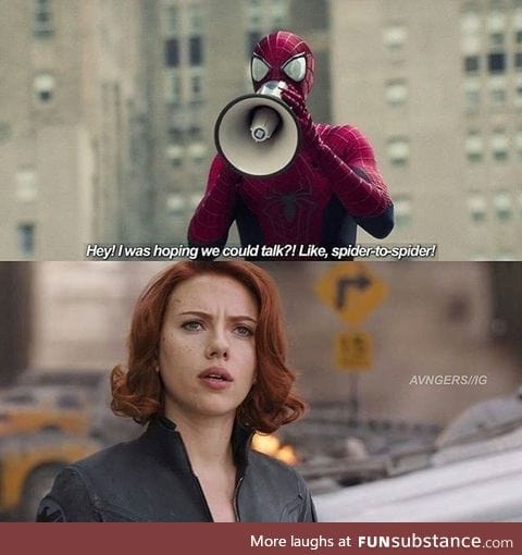 Spider to spider