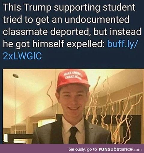 Bamboozeld himself