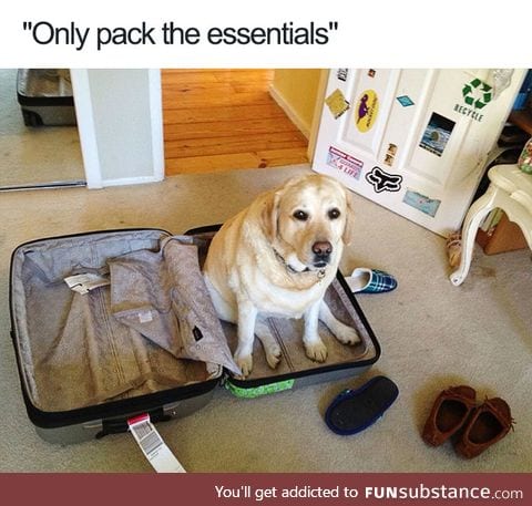 They packed themselves
