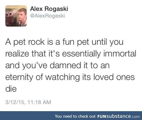 The sad thing about pet rock