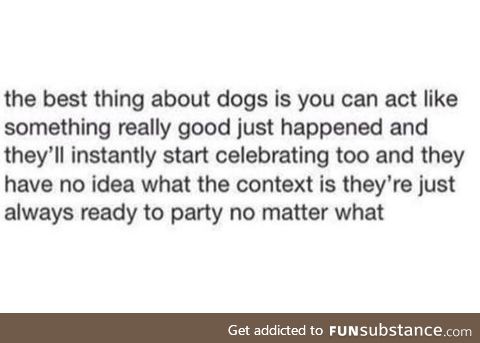 Best thing about a dog
