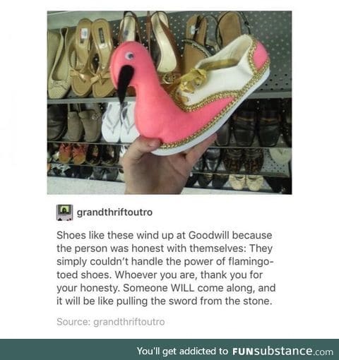 Behold, the pink pelican