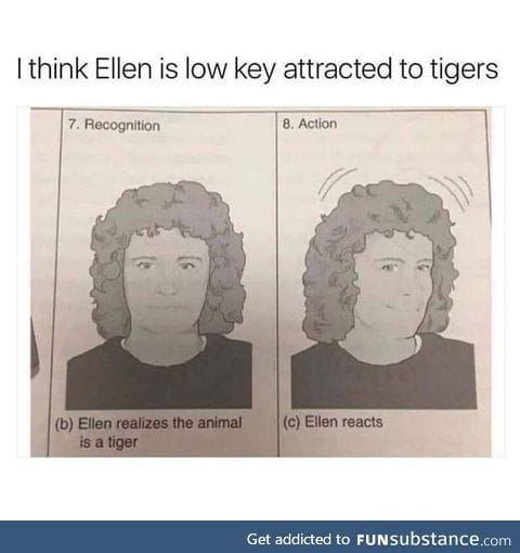 How to react to tigers