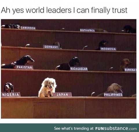 Who is a good leader? You are! Yes, you are!