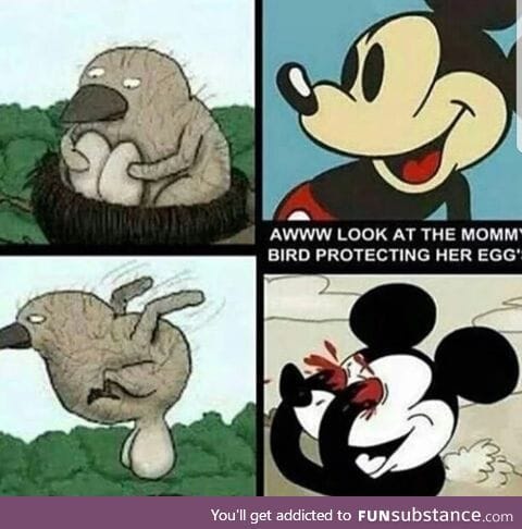 Beautiful eggs