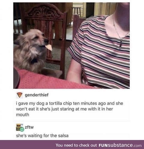 Salsa is the best part