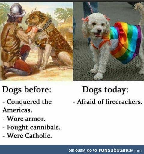 Dogs - a history
