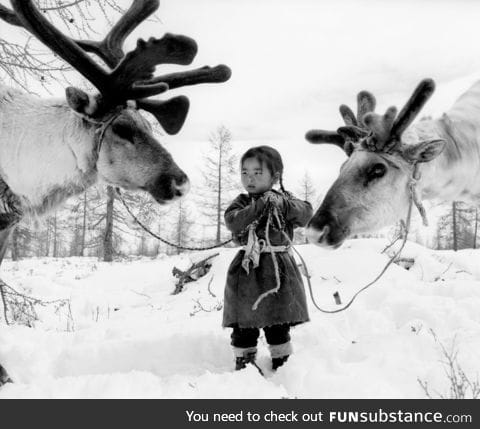 Nomad child in Mongolia with her reindeer