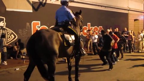 In New Orleans, even the police horses boogie out