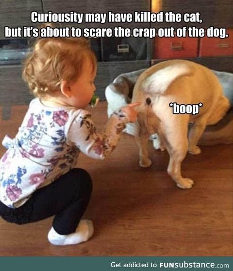 boop