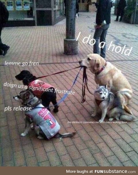 Bork bork frens