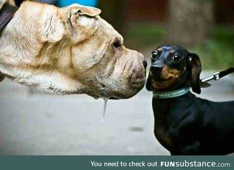 Wow okay somebody hasn't heard of personal space