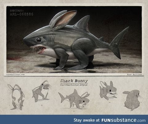 Behold the shark-bunny