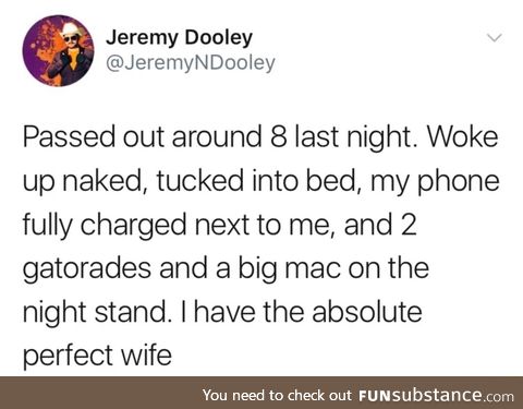 Perfect wife