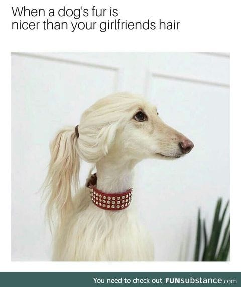 Nice hair