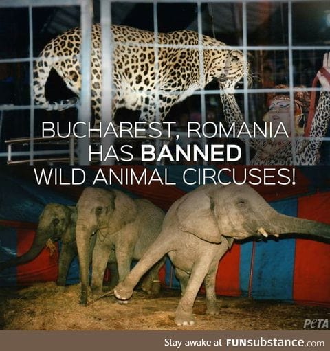 Good guy Romania
