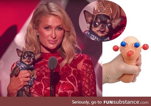 In case you missed it last night, here is Paris Hilton squeezing her dog