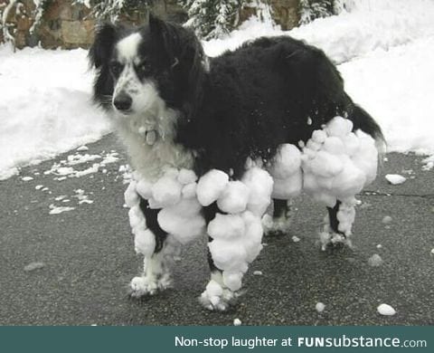 +10 armor +20 frost resistance -10 speed