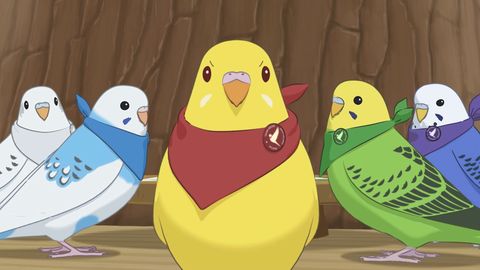 Bird Anime