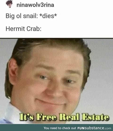 Hermit crab doesn't pay rent