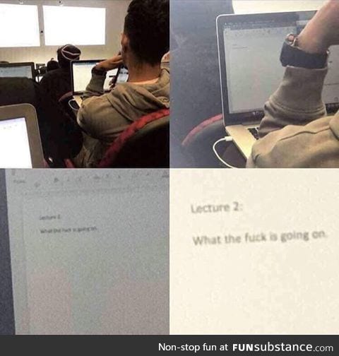 University in one picture