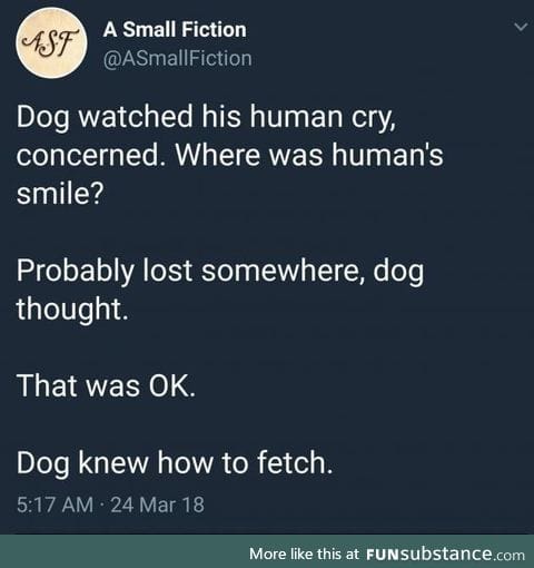 Dogs are wholesome